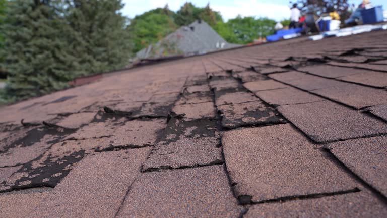 Best Slate Roofing  in Craig Beach, OH